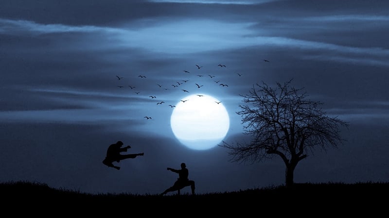 Tai Chi Movement